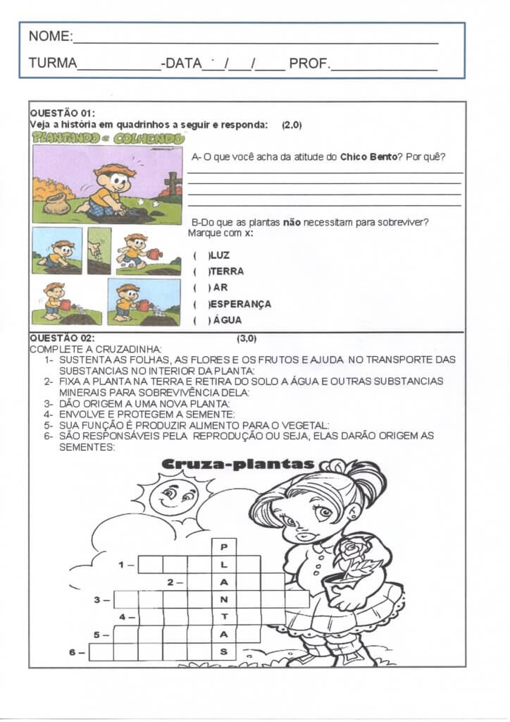 Atividade Avaliativa-Seres Vivos-Plantas-Folha 1