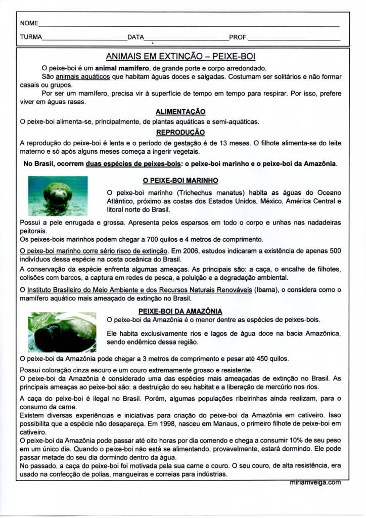 Animais em extinção-Peixe-boi-Interpretação