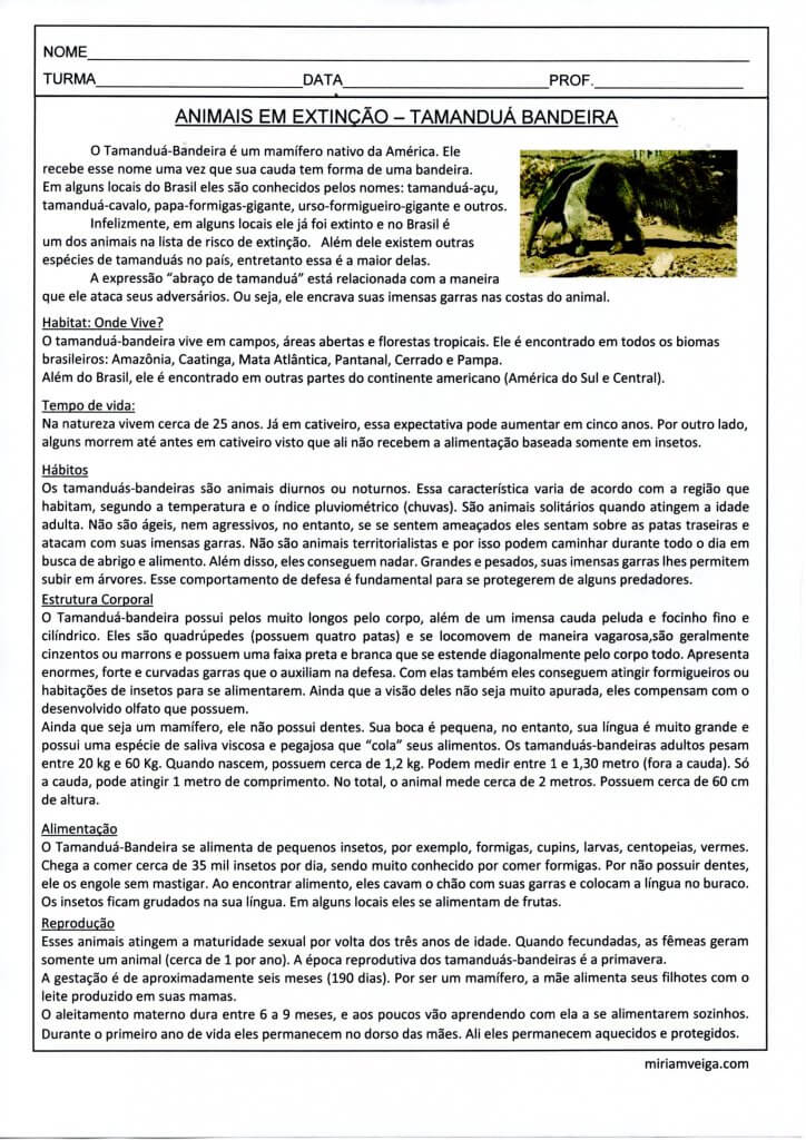 Animais em extinção-Tamanduá Bandeira-Texto