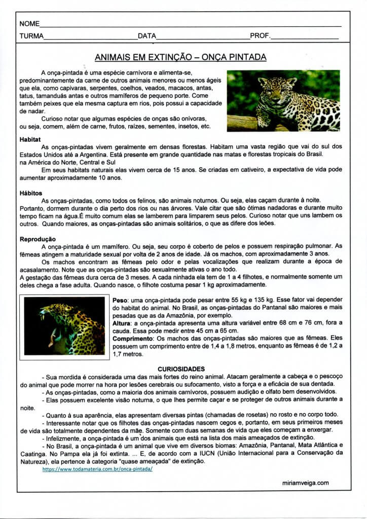 Animais Selvagens-Onça Pintada-Texto