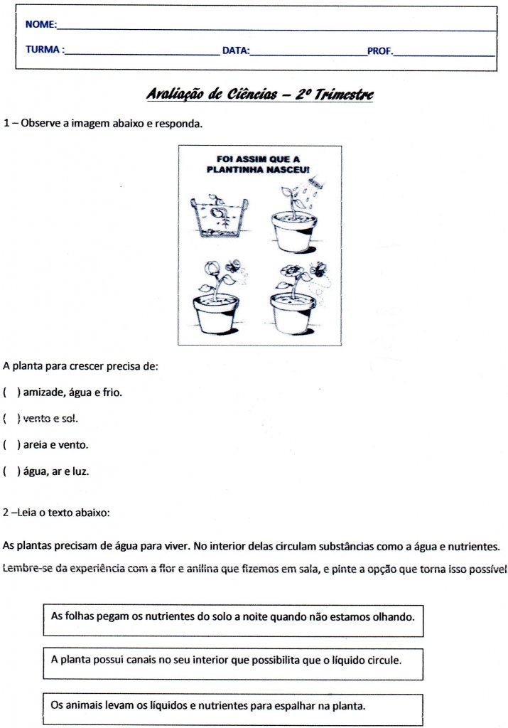 Avaliação Ciências 3 ano 2 trimestre-Parte 1-Folha 1