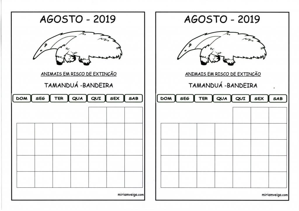 Calendário 2019 Agosto-Aluno