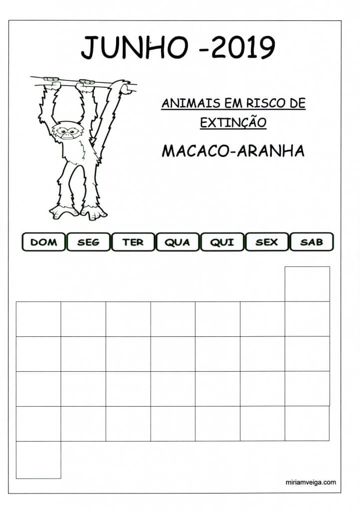 Calendário 2019 Junho-Parede