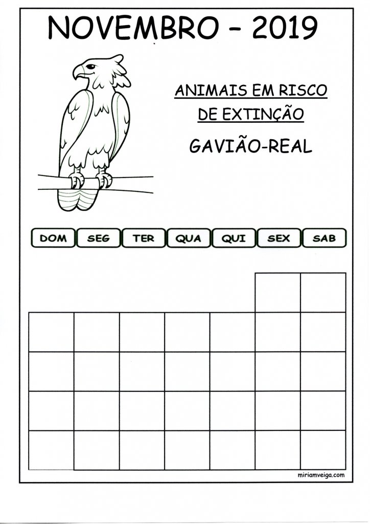 Calendário 2019 Novembro-Parede