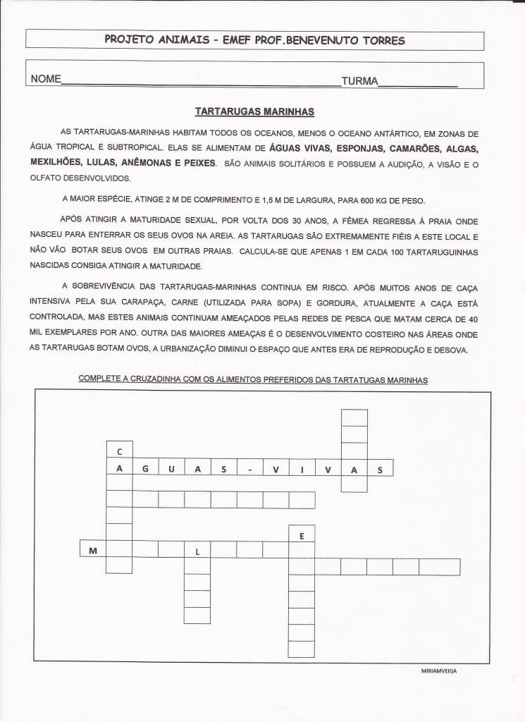 PROJETO-ANIMAIS-1 Animais, Listas, Gráficos