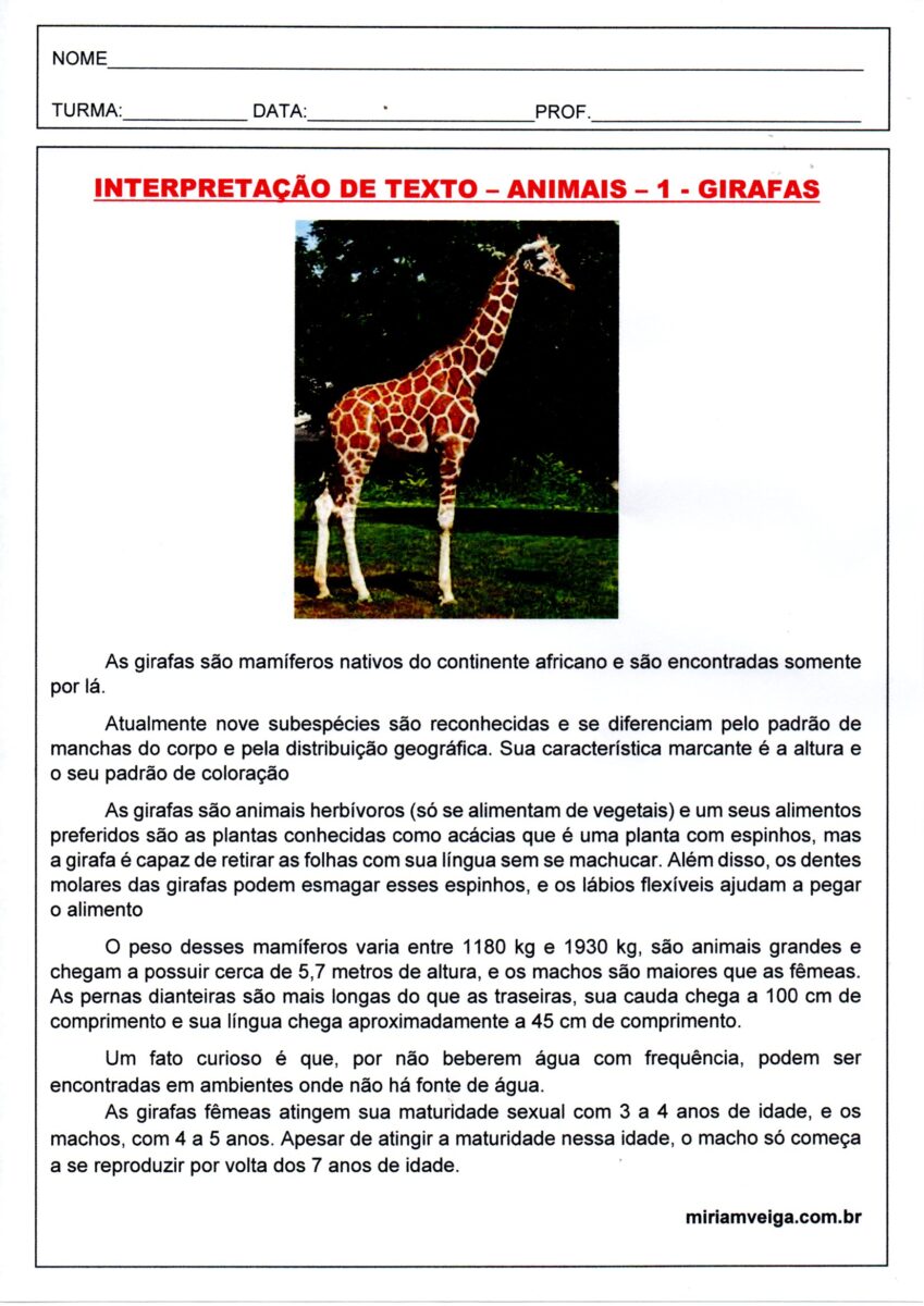Interpretação de texto-Girafa 1