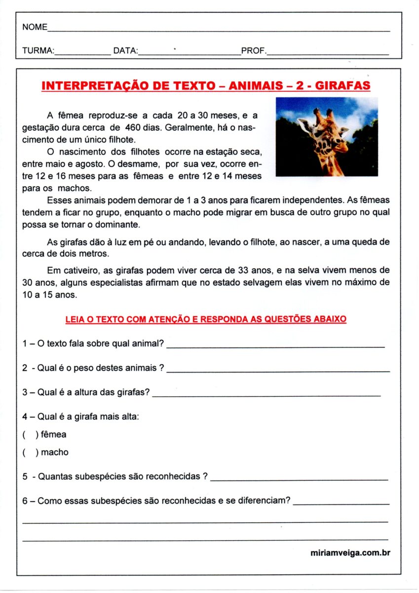 Interpretação de texto-Girafa 2