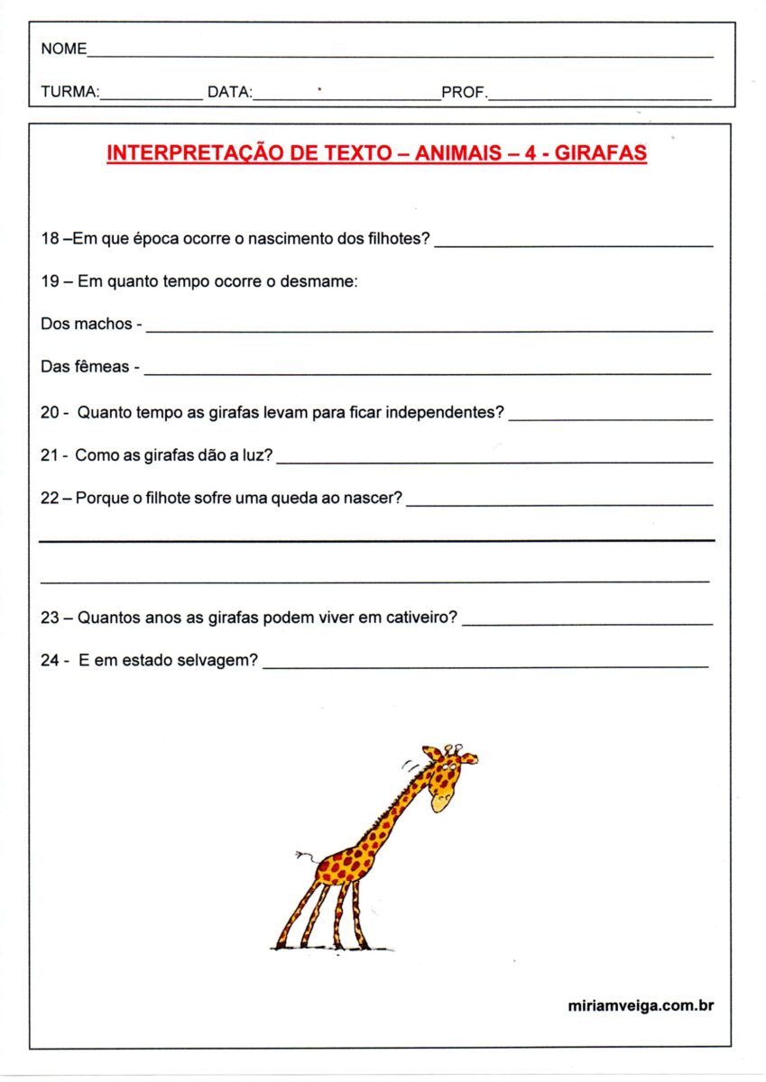 Interpretação de texto-Girafa 4