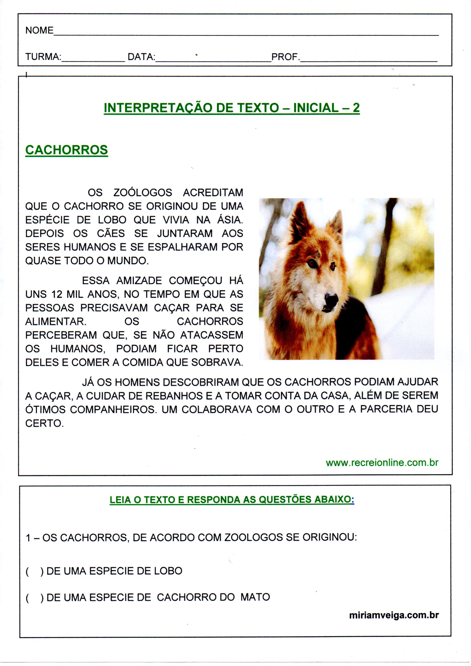 💖Interpretação de texto inicial-Cachorros-1 · Alfabetização Blog