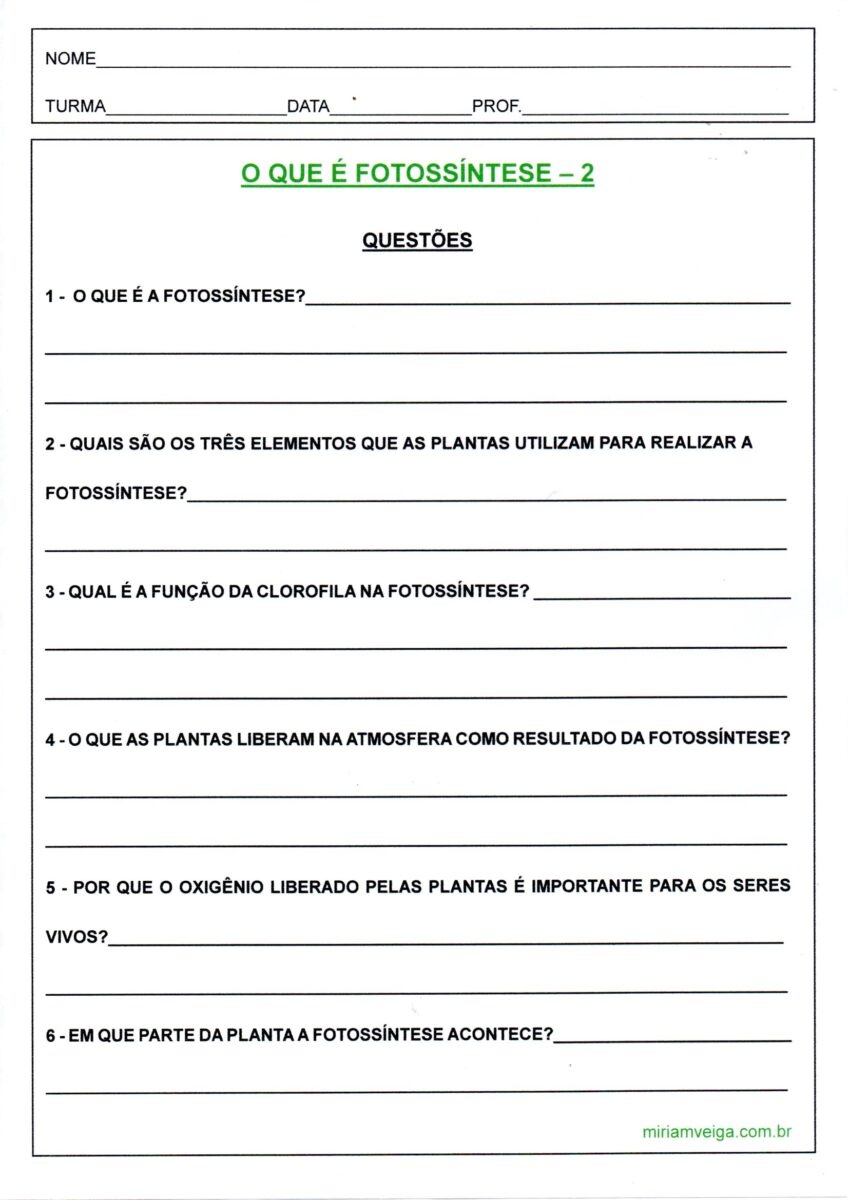 Ciências-O que é Fotossíntese-Parte 2